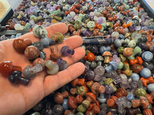 Mini Stone Mushroom Mix - 1 pound