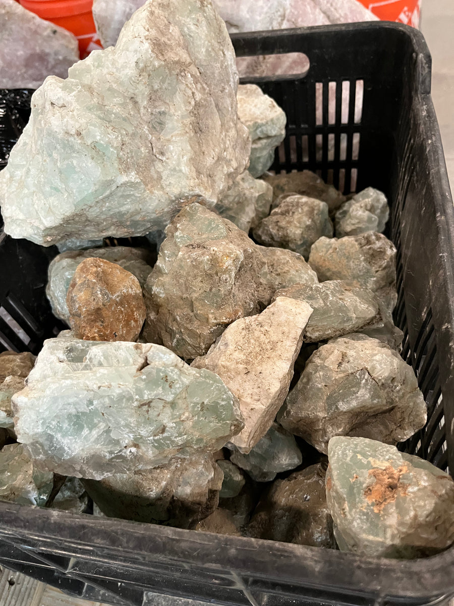 FANATIC ROCK LITE 142(美品) 推奨体重 30〜55kg Fluorite - Mexico - 1 pound – RoughStone.Rocks LLC