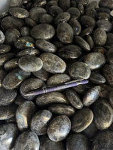 Labradorite Palm Stones - 10 pounds*
