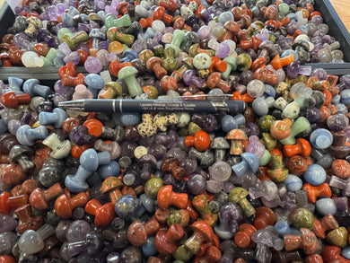 Mini Stone Mushroom Mix - 1 pound