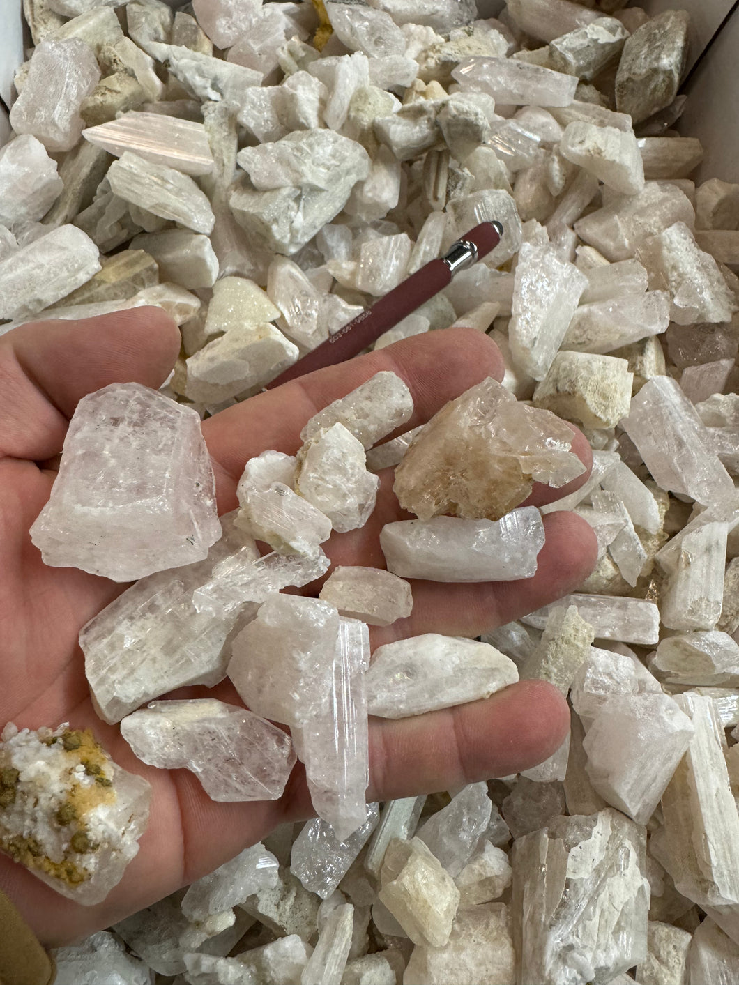 Danburite from Mexico Tumble Grade 250 grams Roughstone.Rocks LLC
