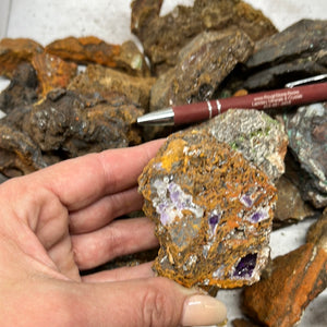 Rough Limonite with minerals - Mina Ojuela 1 pound