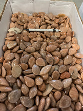 Polished Peach Moonstone Mix from Madagascar 1 pound Roughstone.Rocks LLC