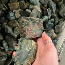 Rough Bloodstone from India Medium Pieces 10 pounds Roughstone.Rocks LLC