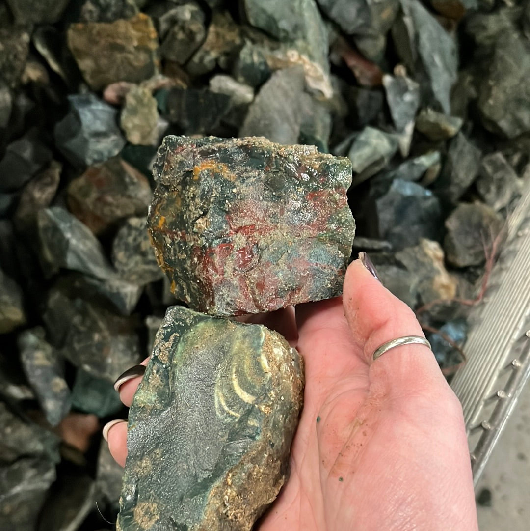 Bloodstone Medium Pieces - 10 pounds – RoughStone.Rocks LLC