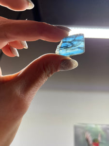 Rough Blue Kyanite from Kenya 1 pound Roughstone.Rocks LLC 