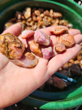 Rough Corundum Ruby from Kenya 1 pound Roughstone.Rocks LLC