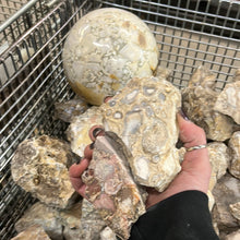 Rough King Cobra Jasper Spotted Chalcedony from India 10 pounds Roughstone.Rocks LLC