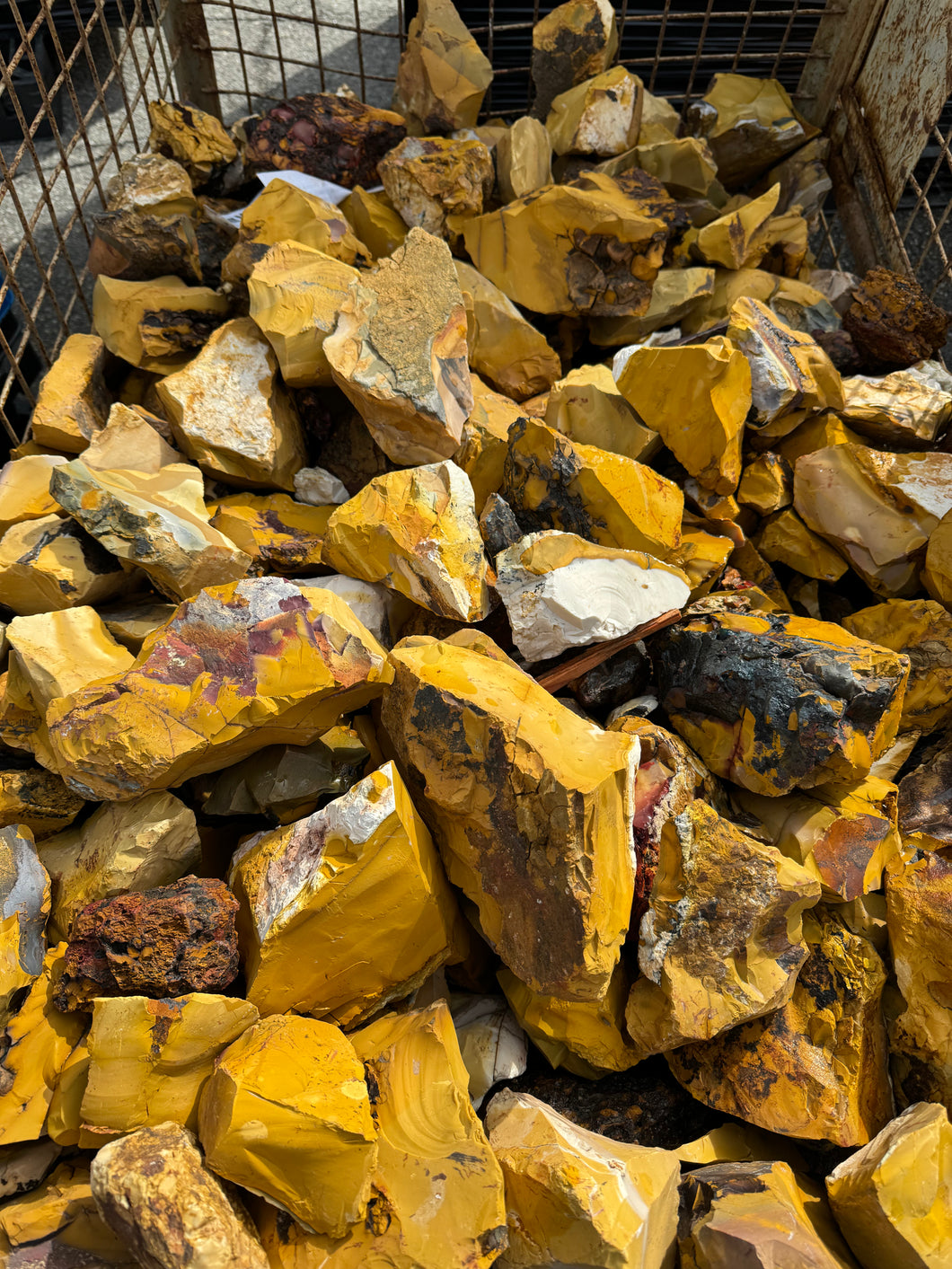 Rough Mookaite Mostly Yellow from Australia 10 pounds Roughstone.Rocks LLC