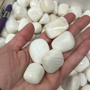 Scolecite Tumbles from India 1 pound Roughstone.Rocks LLC