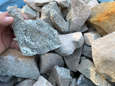 Dalmatian Stone from Mexico 1 pound Roughstone.Rocks LLC