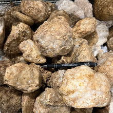 Geodes Large from Morocco 2 pounds Roughstone.Rocks LLC
