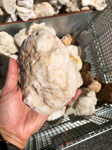 Geodes Large from Morocco 2 pounds Roughstone.Rocks LLC