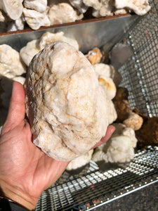 Geodes Large (closed), Morocco - 100 pounds*