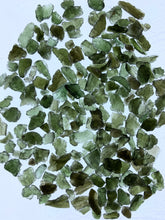 Moldavite Chips & Pieces from Czech Republic 10 grams Roughstone.Rocks LLC