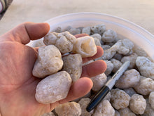 Phosphorescent Tumbled Geodes 1 pound Roughstone.Rocks LLC