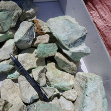 Rough Chrysoprase from Poland 10 pounds Roughstone.Rocks LLC