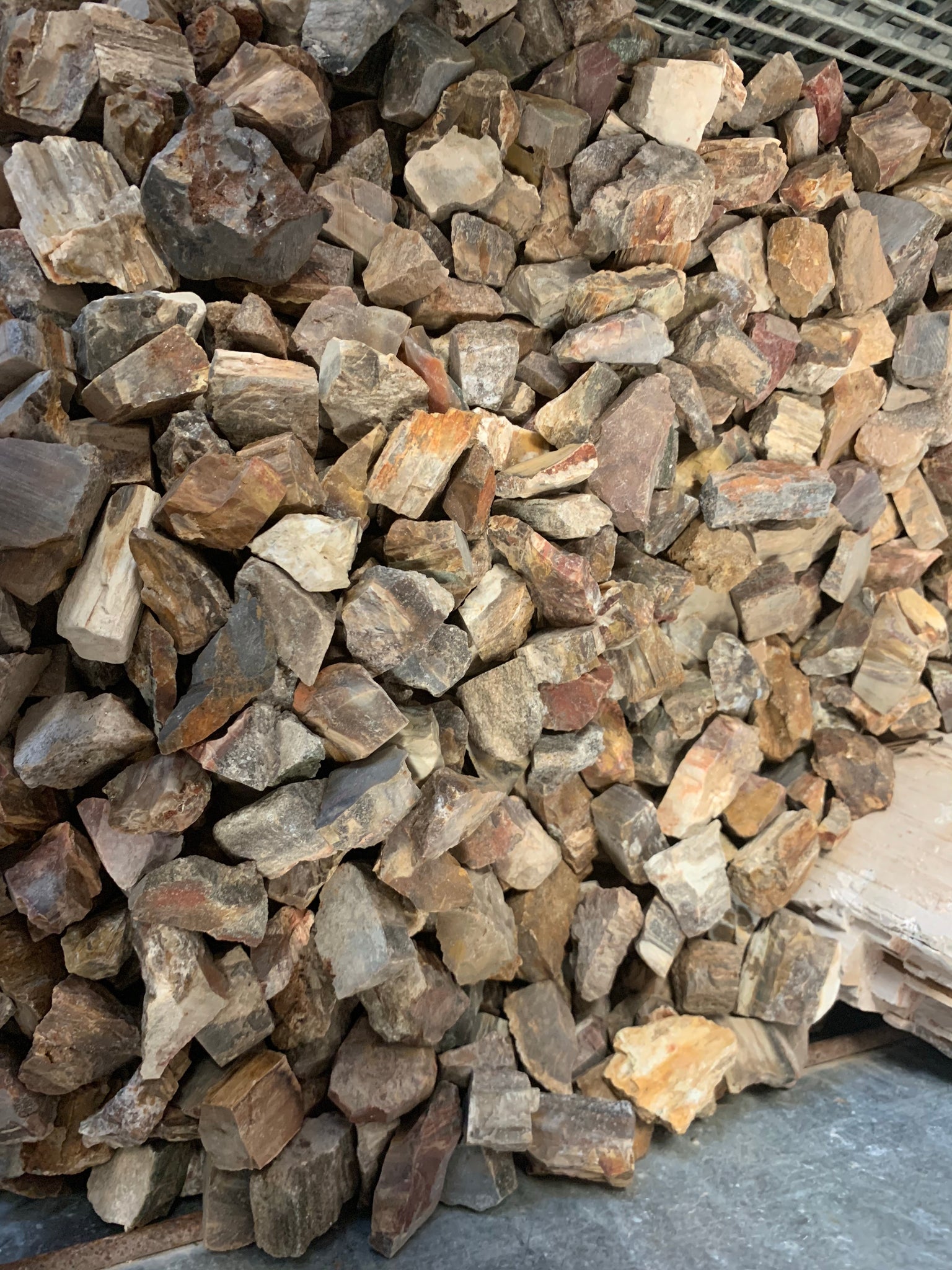 Petrified wood rough - Madagascar 1 pound – RoughStone.Rocks LLC