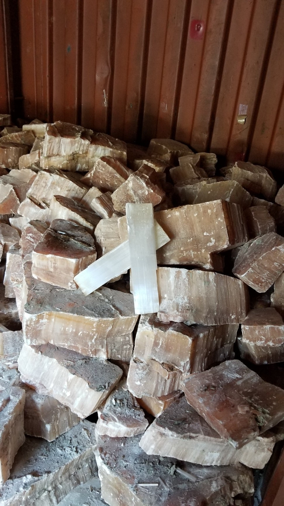 Selenite Satin Spar Peach 1 pound Roughstone.Rocks LLC