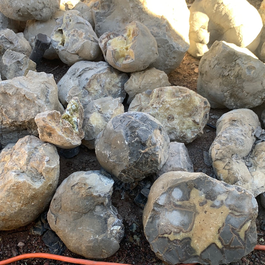 Septarian from Utah 10 pounds Roughstone.Rocks LLC