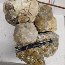 Septarian from Utah 10 pounds Roughstone.Rocks LLC