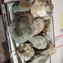 Septarian from Utah 10 pounds Roughstone.Rocks LLC
