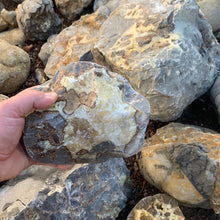 Septarian from Utah 10 pounds Roughstone.Rocks LLC