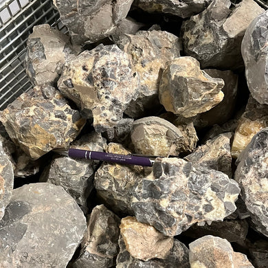 Septarian from Utah 1 pound Roughstone.Rocks LLC