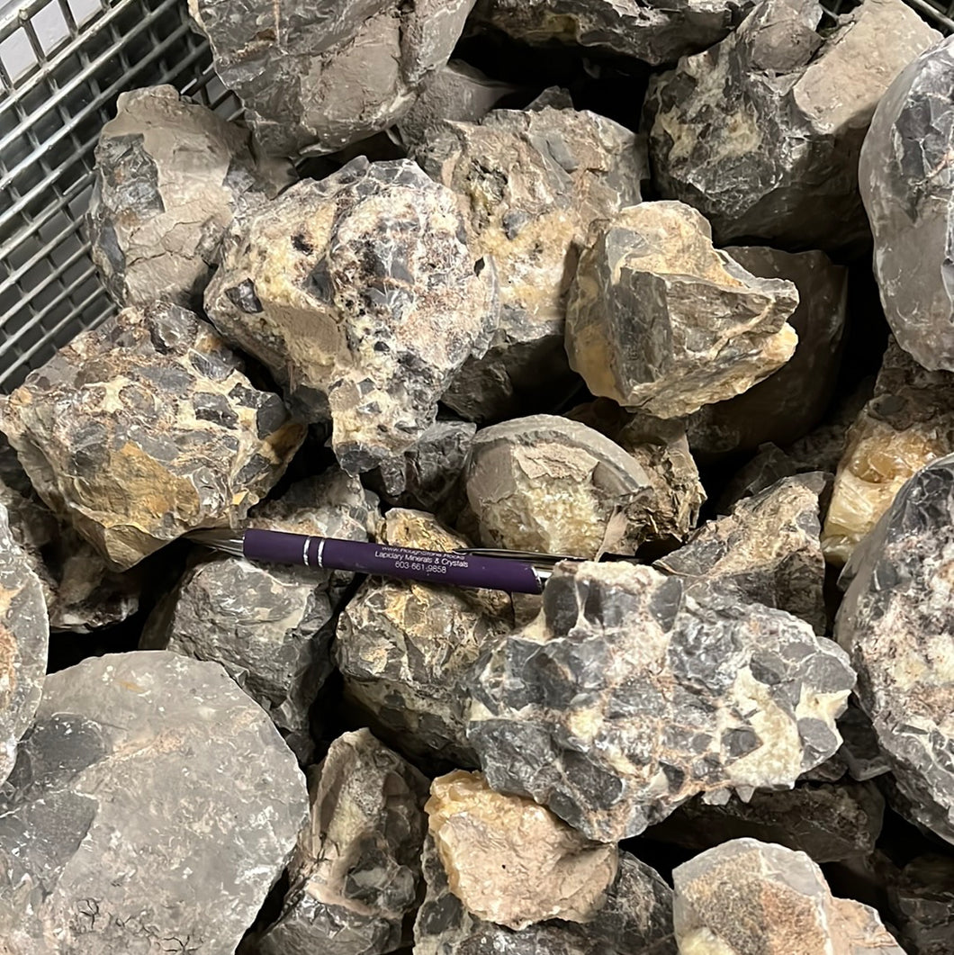 Septarian from Utah 1 pound Roughstone.Rocks LLC