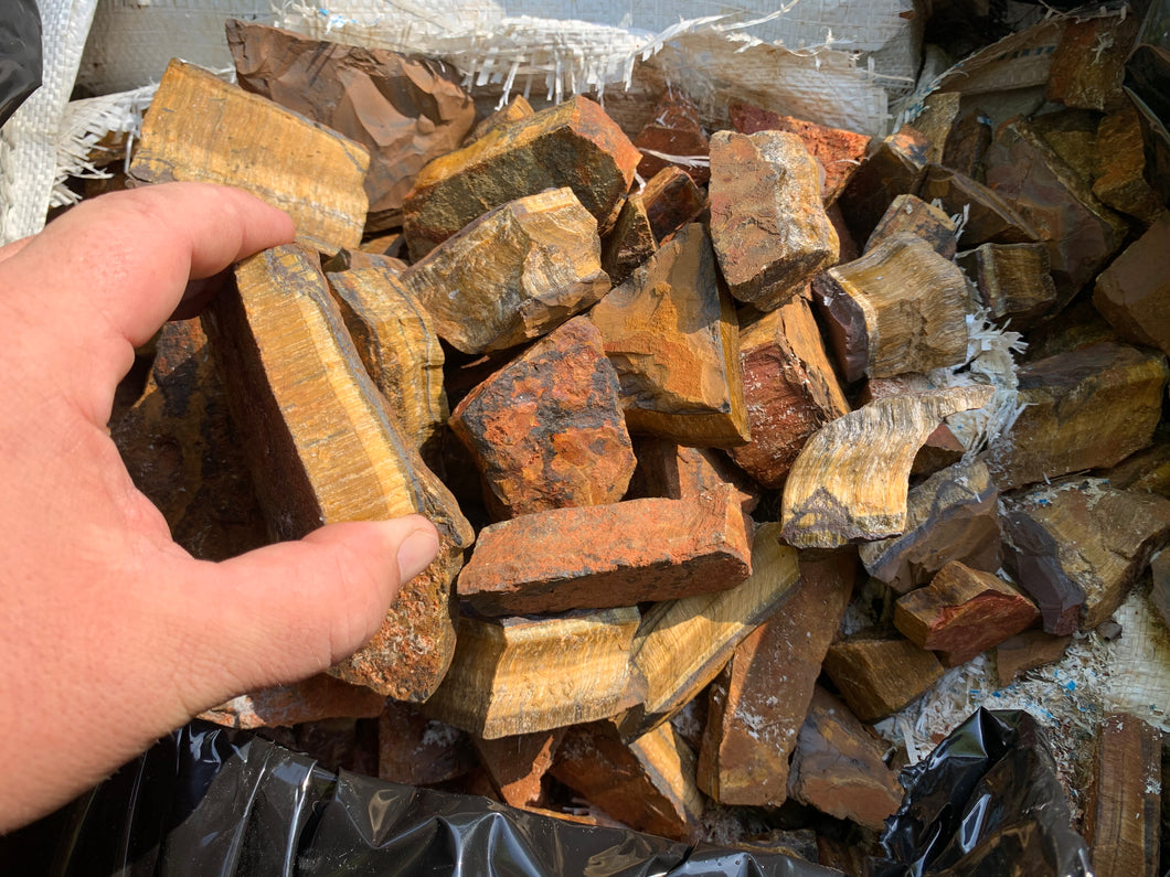 Tiger Eye 1st Choice from South Africa 1 pound Roughstone.Rocks LLC
