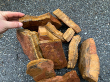 Tiger Eye 1st Choice from South Africa 1 pound Roughstone.Rocks LLC