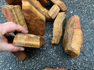 Tiger Eye 1st Choice from South Africa 1 pound Roughstone.Rocks LLC