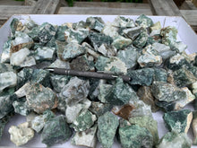 Tree Agate Small Pieces from India 1 pound Roughstone.Rocks LLC