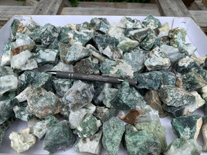 Tree Agate Small Pieces from India 1 pound Roughstone.Rocks LLC