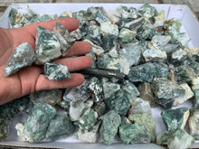 Tree Agate Small Pieces from India 1 pound Roughstone.Rocks LLC