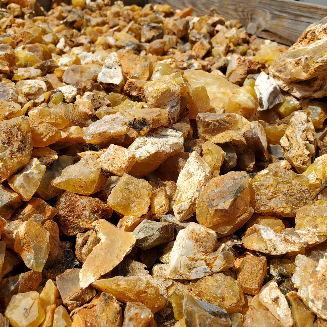 Yellow Opal from Tanzania 1 pound Roughstone.Rocks LLC
