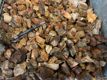 Petrified wood rough - Madagascar 1 pound