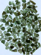 Moldavite chips and pieces - 10 gram bag