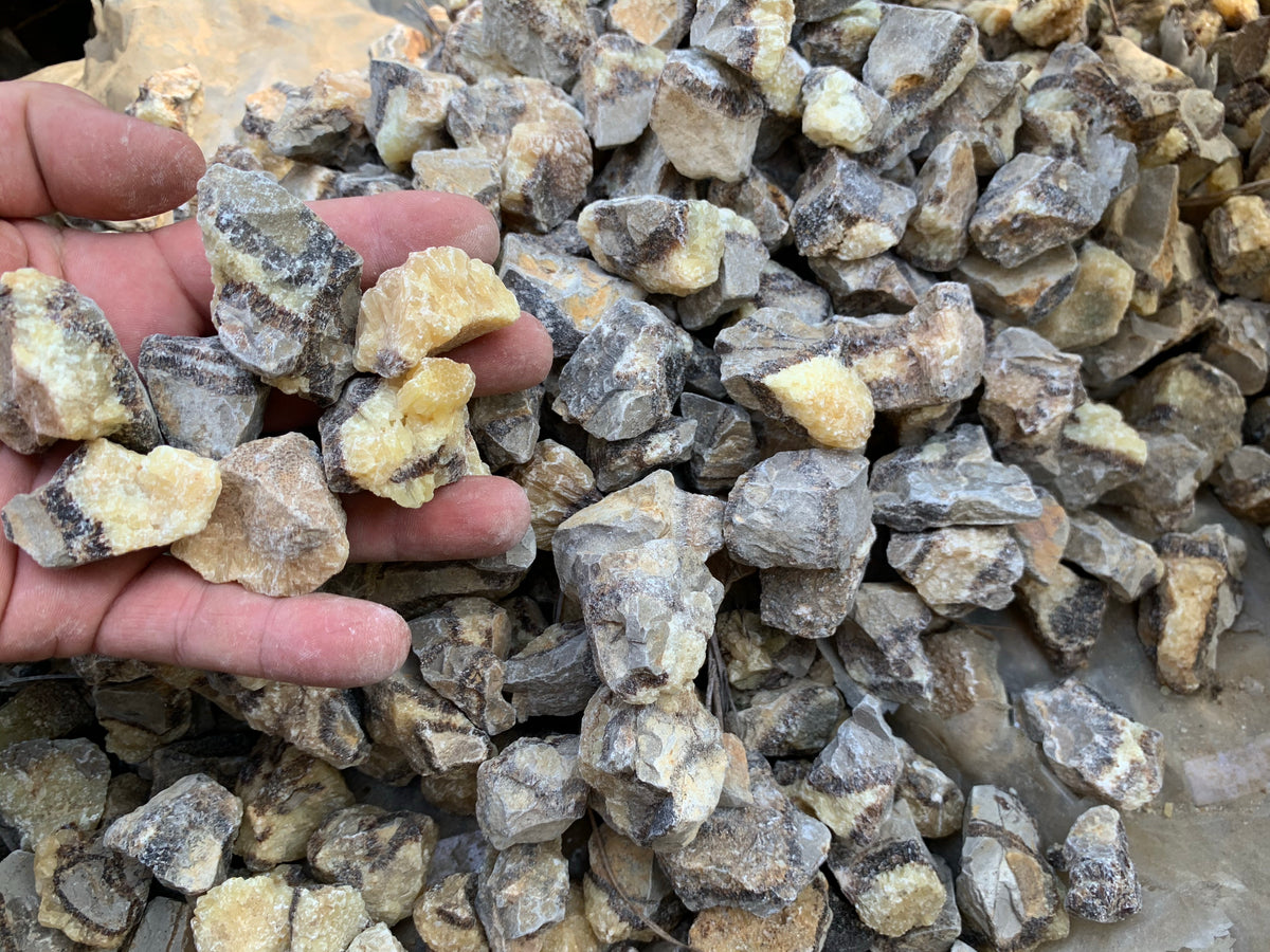 Septarian - 10 pounds – RoughStone.Rocks LLC